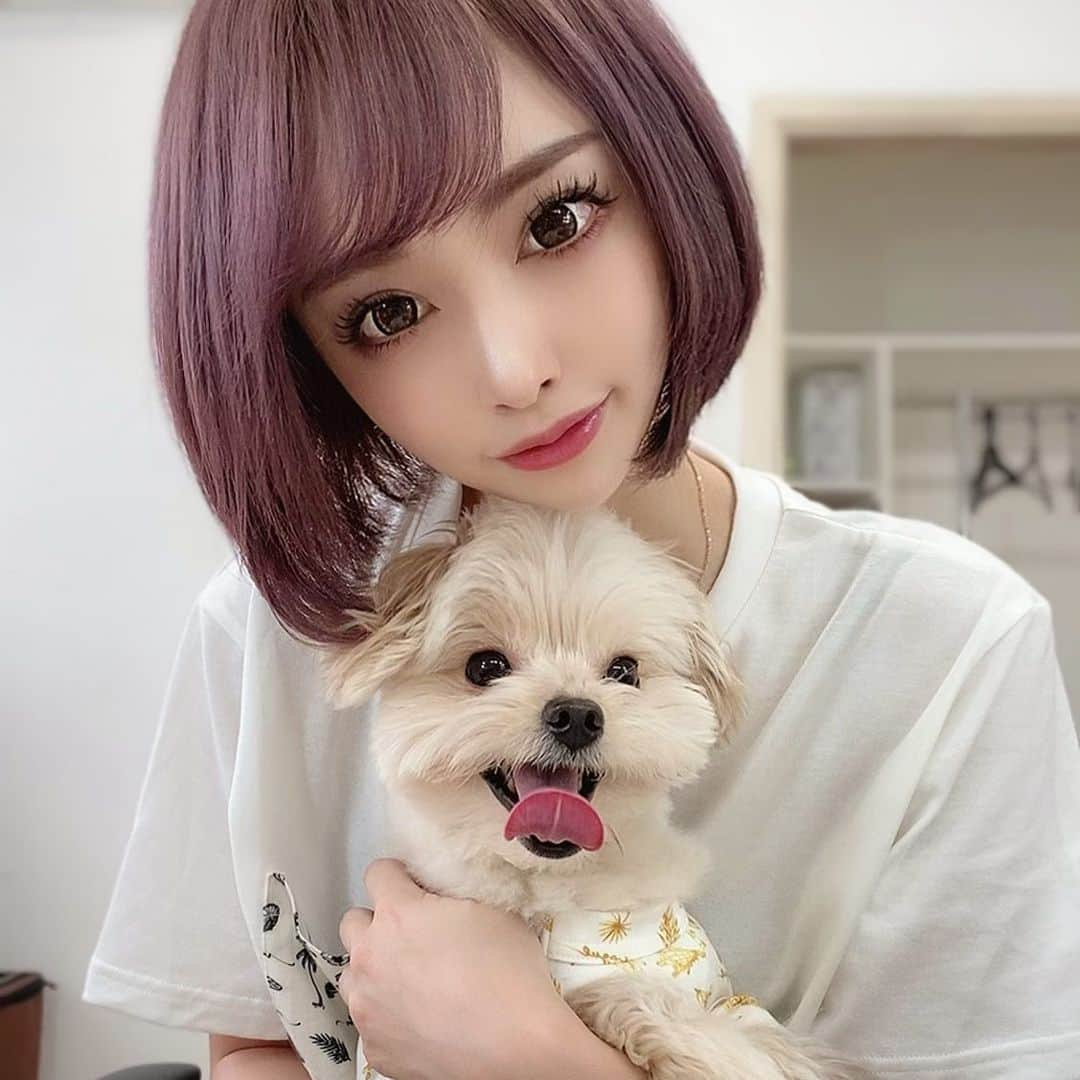 サキ吉さんのインスタグラム写真 - (サキ吉Instagram)「昨日はゆめツナ🐶の撮影💖 @vague_dogwear_official  さんのカタログ撮影✨ よく頑張りました💛 ． #selfie #ポメマルプー #綱吉 #🐶 #おそろコーデ」2月16日 14時54分 - sakikichi1201