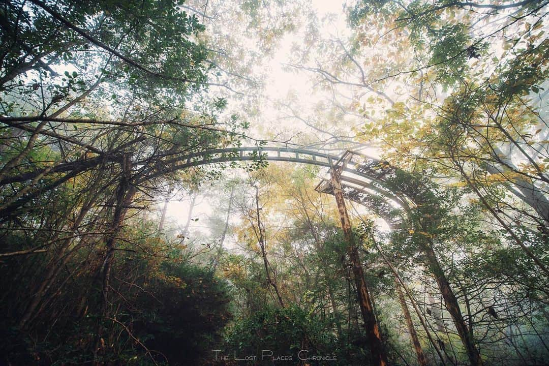 啝 （わ）さんのインスタグラム写真 - (啝 （わ）Instagram)「Abandoned amusement park in forest 𓆲 𓆲 𓆲 #廃墟 #Abandoned #AbandoniG #allabandoned #abandonedworld #Abandonedafterdark #abandoned_addiction #abandoned_greece #abandon_seekers_ #Abandoned_Excellence #abandonedcentral #beAlpha #discarded_butnot_forgotten #DECAY_iLLife #desertedplaces #ethereal_moods #grime_nation #grime_reapers #GoTrespassing #ig_urbex #Itsabandoned #KINGS_ABANDONED #renegade_abandoned #sombrexplore #urbex_supreme #urbex_regards #urbexplaces #urbex_disciple #urbex_utopia #urbxtreme」2月16日 15時53分 - neji_maki_dori