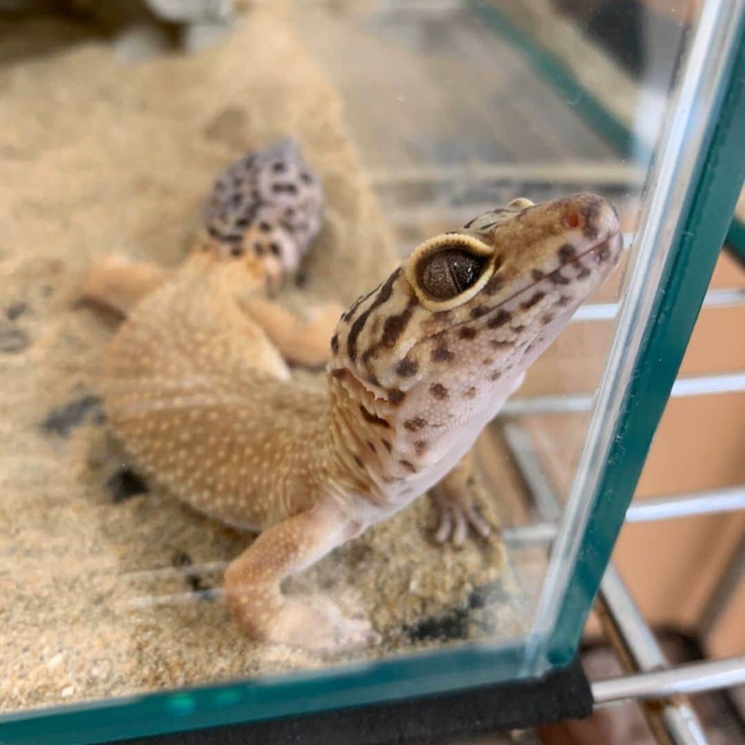 【公式】福岡ECO動物海洋専門学校のインスタグラム