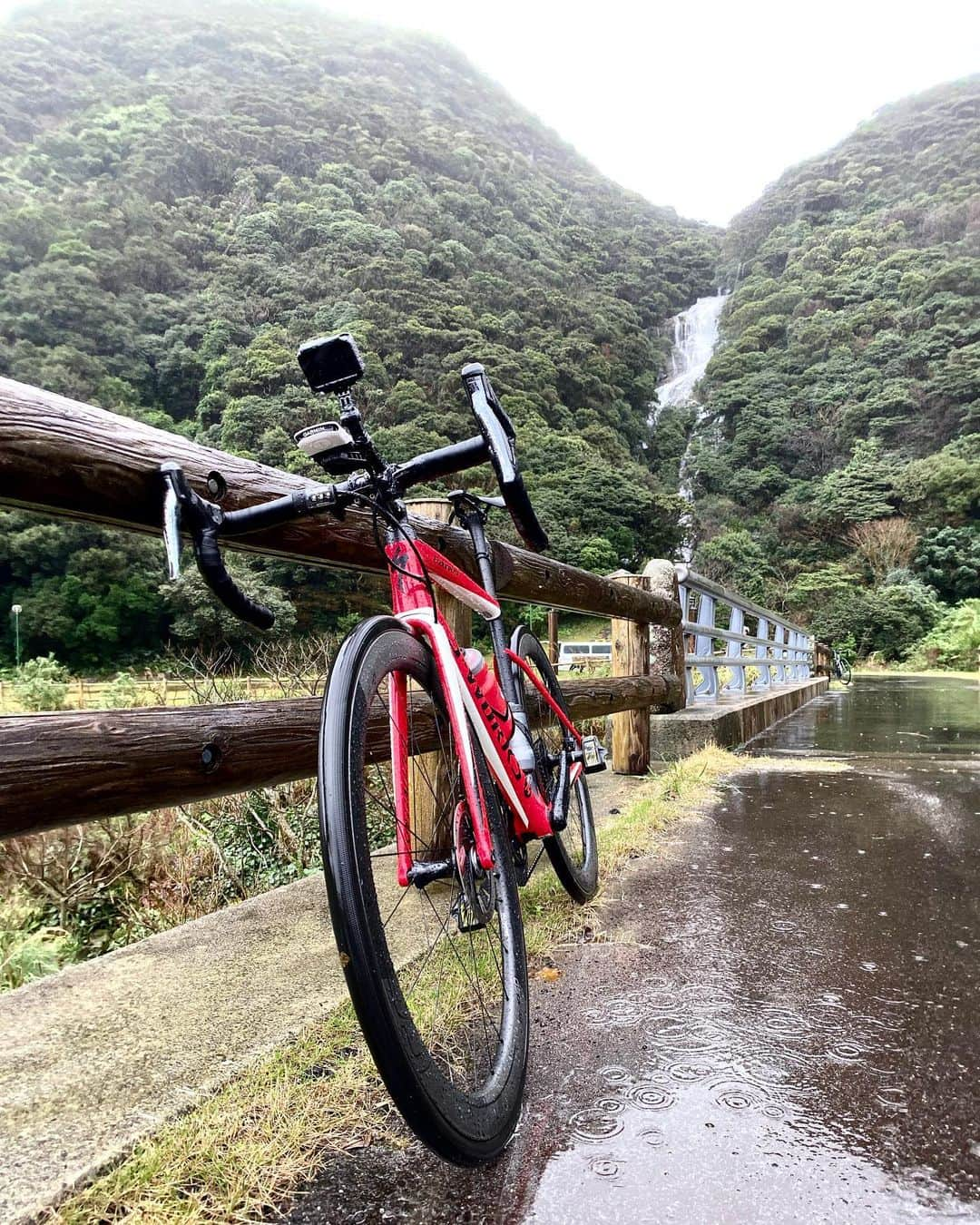 竹谷賢二さんのインスタグラム写真 - (竹谷賢二Instagram)「#ridingintherain #waterfall #enjoy #japan #roadbike #specialized #tarmacdisc #garmin #edge1030 #endurelife」2月16日 16時55分 - tktakeyakenji