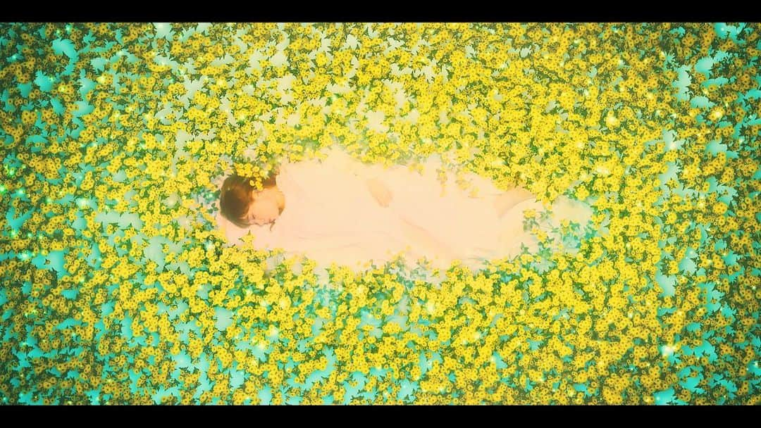 MACOさんのインスタグラム写真 - (MACOInstagram)「恋蛍 Music Video short version on YouTube 🌼  #MACO #恋蛍  #MusicVideo」2月16日 17時36分 - maco___official