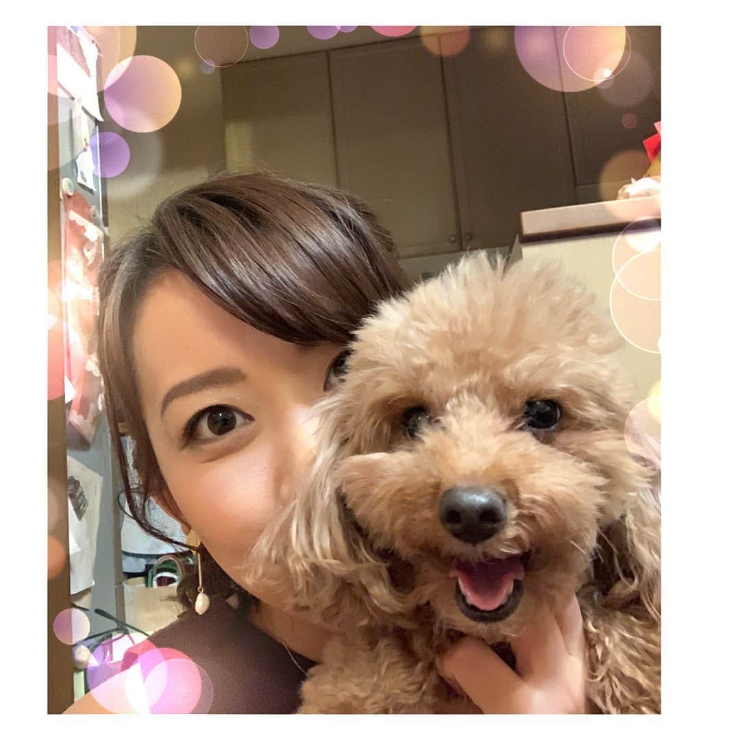 須黒清華のインスタグラム：「久しぶりに会って、笑顔で歓迎してくれたくるみさん🐶と、 トイレ失敗したのがバレて、恐怖に慄くくるみさん🤣 こんな顔されると怒れない〜笑 #トイプードル #犬 #犬のいる暮らし #休日の過ごし方」