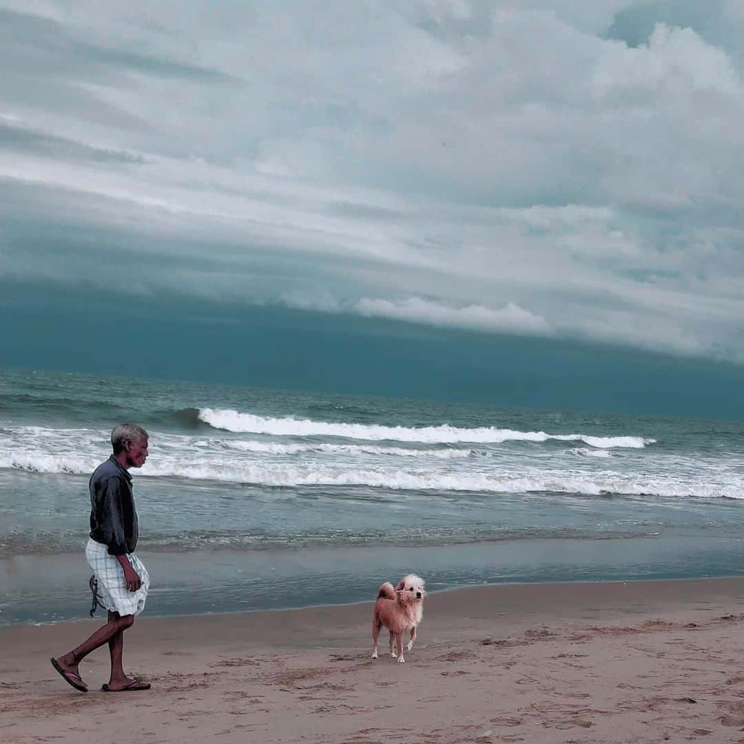 Nikonのインスタグラム：「A breezy day it was, I tried capturing this aged man, a beautiful pup and the waves together to bring up the fact that we all are interdependent on each other. 🚶‍♂️🐕 🌊  P. S I reckon that beaches can give extreme serenity and, in particular, mamallapuram holds a special place in my heart ♥ #shotononeplus #chennaiponnu #chennai #chennaidiaries #mahabalipuram」