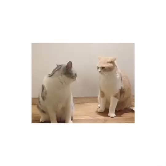 のインスタグラム：「🤜🏻🤛🏻」