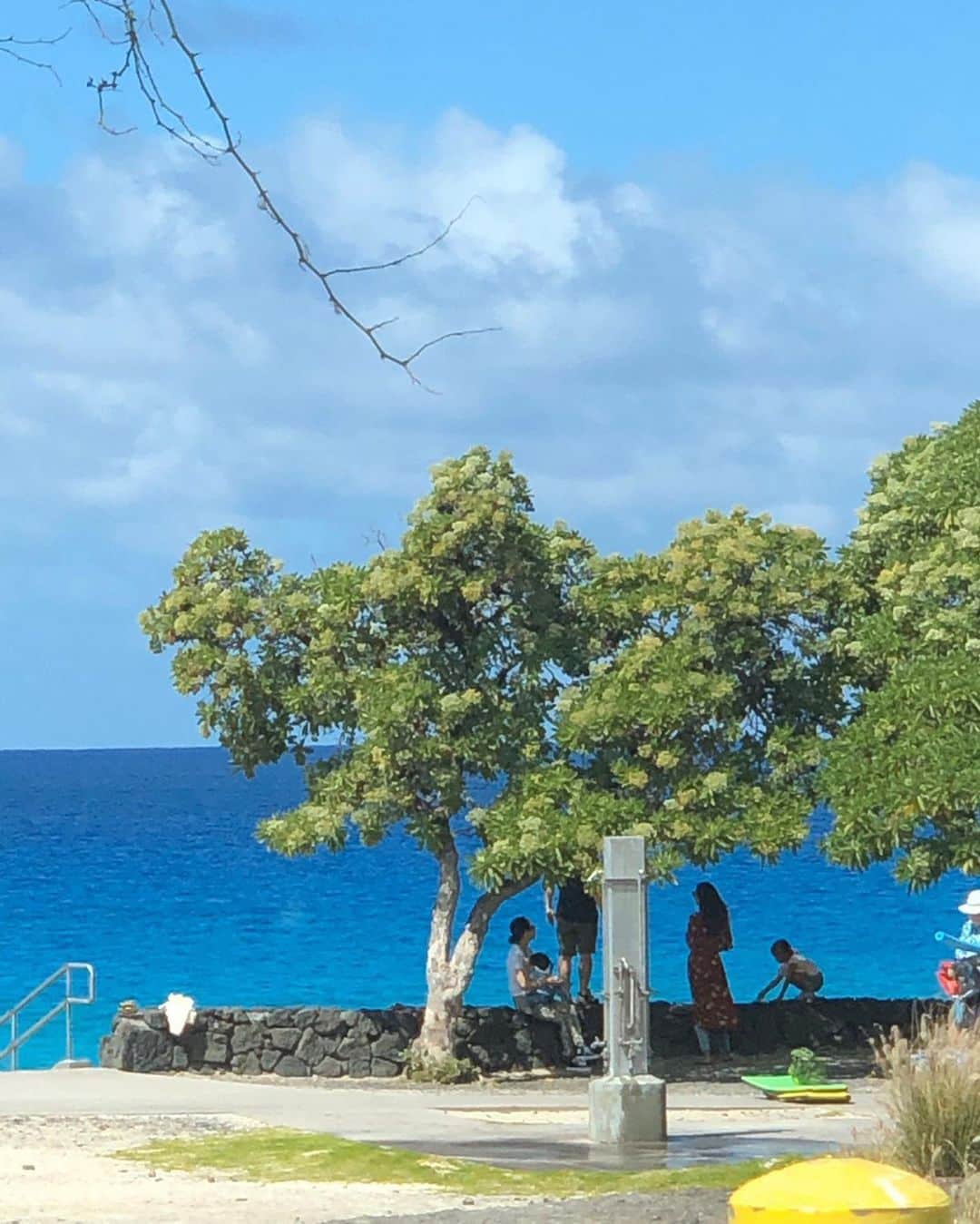 砂賀美希さんのインスタグラム写真 - (砂賀美希Instagram)「今回のハワイ島の旅程はすべて、在住12年 @leo_kaloko にオーダー。  #1歳半 の息子も一緒の旅だったので、キラウェア火山やサンライズなどの高低差や遠いエリアは控え 途中休憩しながら #ローカルフード や #オーガニック のものが見られるお店を案内してもらい  #ワイピオ渓谷 や #kuabay  日本未発売の #コナコーヒー #オーガニックファーム で自然に触れる時間を多くコーディネートしてもらいました。  #kalokohouse では #民泊 もさせていただき 子どもの #離乳食 や、早々に恋しくなった #和食 をキッチンで作らせてもらったりで #子連れ旅 にはとても心地よい環境を提供していただきました。  息子よ。 両親はすぐまた来よう！と息巻いちゃうくらいにハッピーだったが、覚えていてくれるかな😂🤙 @meg813 @leo_kaloko thank you for your big warm support! ・ ・  #bigisland #organic #magiccoffee #konacoffee #nature #islandnaturals #liquidlife #texdrivein #malasada #honokaapeoplestheatre #rarehawaiian #暮らすように旅する #子連れ旅行 #ハワイ島 #ママモデル #ハワイ島ツアー」2月16日 19時59分 - kimiganasu