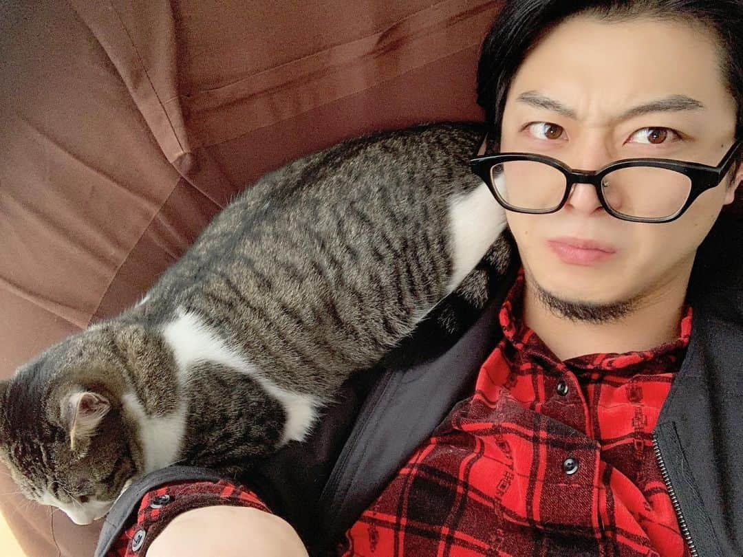 上田悠介さんのインスタグラム写真 - (上田悠介Instagram)「ケツを向けるな、ケツを…。笑  #サスケ #猫 #ネコ #ねこ #ニャンスタグラム #ねこすたぐらむ #保護猫 #保護猫と暮らす #ねこ部 #ねこさん #cat #catstaglam #cute #mylovelycat #instacat #picneco #kater #고양이」2月16日 20時19分 - yskued0402