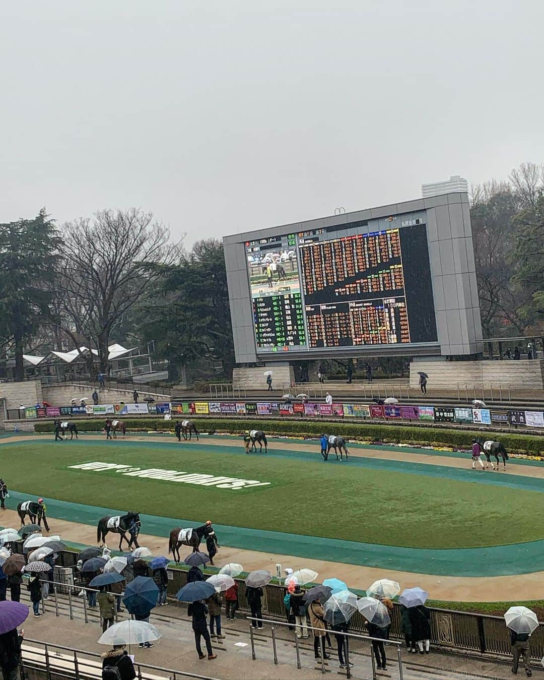 荒井愛花さんのインスタグラム写真 - (荒井愛花Instagram)「人生初競馬へ🐎 やっぱテレビで見ていた感じと生の空気ってまるで違う‥ これからもいろんな経験をしていきたいとより思いました◎  私初めて行ったんだけど、本当にゴール付近になるとみんな叫びまくるのね…！驚」2月16日 20時25分 - maaanyaka