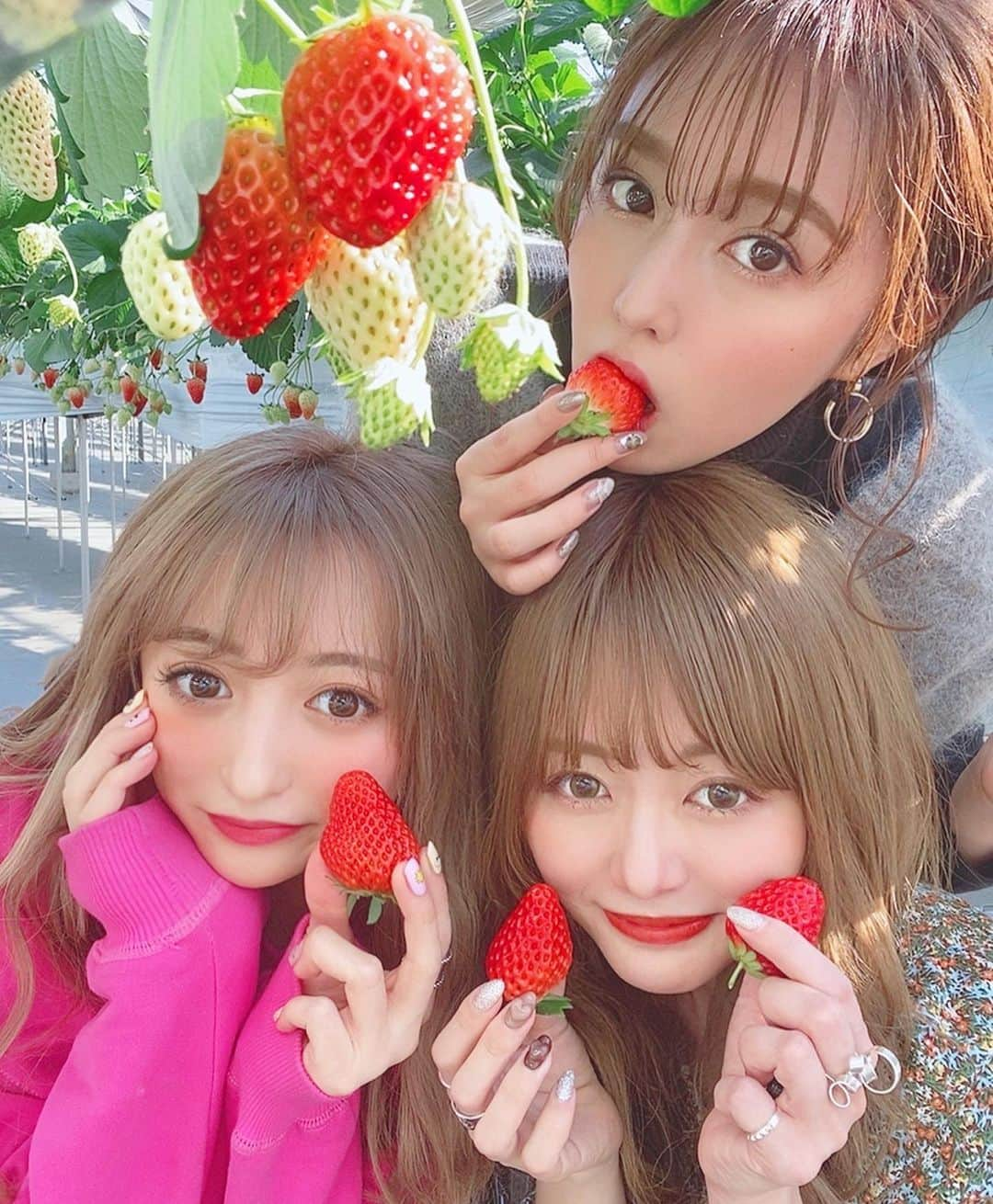 ひなたろす（佐原ひなた）さんのインスタグラム写真 - (ひなたろす（佐原ひなた）Instagram)「イチゴ狩りはこの3人で🍓❤️ ﻿ 甘くって美味しすぎて何個でも食べれる！﻿ ﻿ 今日は雨だったね☔️﻿ ﻿ 明日から晴れるみたいでうきうき〜﻿ 月曜がはじまる〜＾＾﻿ みんなお仕事やら学校やらがんばろうね！﻿ ﻿ あっという間に２月も半ばで早すぎて﻿ 焦っている〜。なんだかなぁ〜、」2月16日 20時56分 - saharahinata