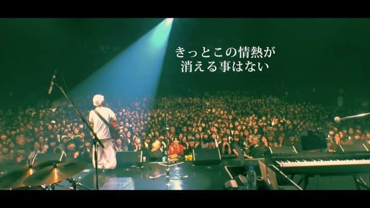 根のシンのインスタグラム