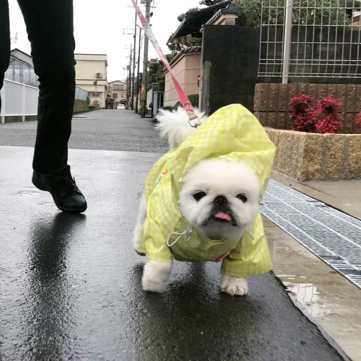 こなつのインスタグラム：「🌝🌝🌝雨の日Style☔️☔️☔️」