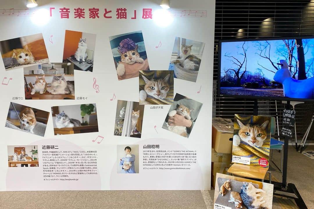 山田稔明さんのインスタグラム写真 - (山田稔明Instagram)「ちよだ猫まつり、今年もとても楽しい有意義な時間でした。たくさんのご来場ありがとうございました。世界中の猫が元気で幸せでありますように。 #ちよだ猫まつり #山田稔明 #近藤研二 #むぎ猫」2月16日 21時30分 - toshiakiyamada