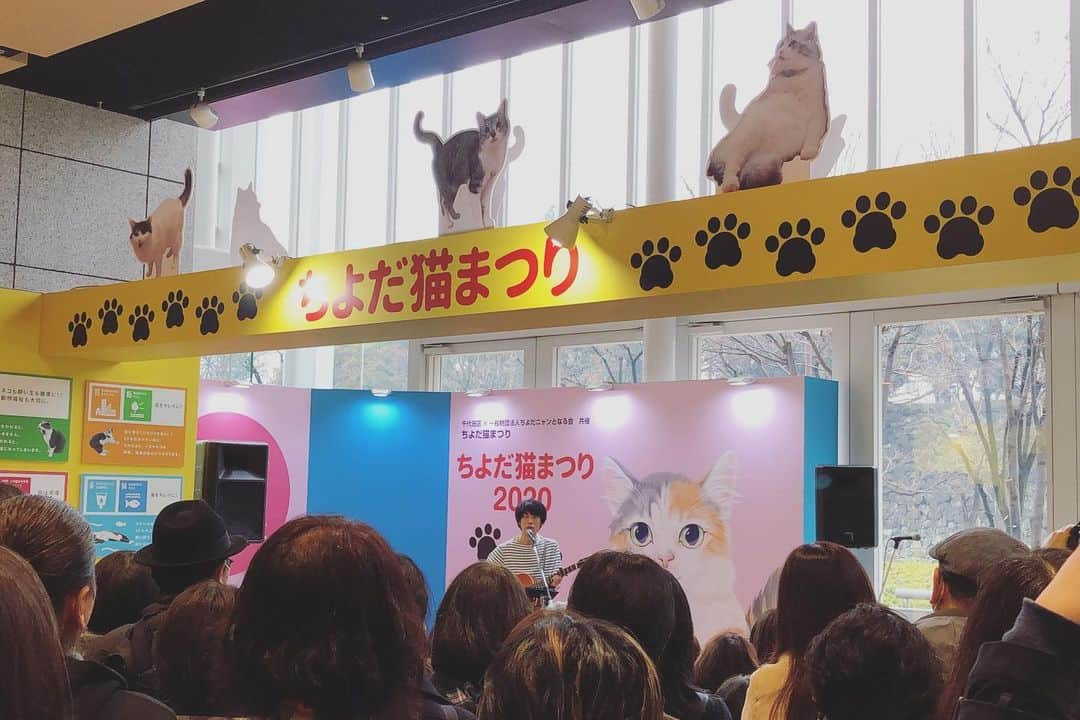 山田稔明さんのインスタグラム写真 - (山田稔明Instagram)「ちよだ猫まつり、今年もとても楽しい有意義な時間でした。たくさんのご来場ありがとうございました。世界中の猫が元気で幸せでありますように。 #ちよだ猫まつり #山田稔明 #近藤研二 #むぎ猫」2月16日 21時30分 - toshiakiyamada