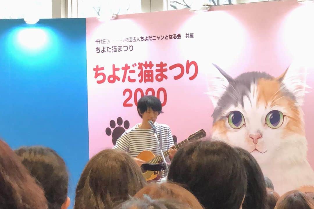 山田稔明さんのインスタグラム写真 - (山田稔明Instagram)「ちよだ猫まつり、今年もとても楽しい有意義な時間でした。たくさんのご来場ありがとうございました。世界中の猫が元気で幸せでありますように。 #ちよだ猫まつり #山田稔明 #近藤研二 #むぎ猫」2月16日 21時30分 - toshiakiyamada