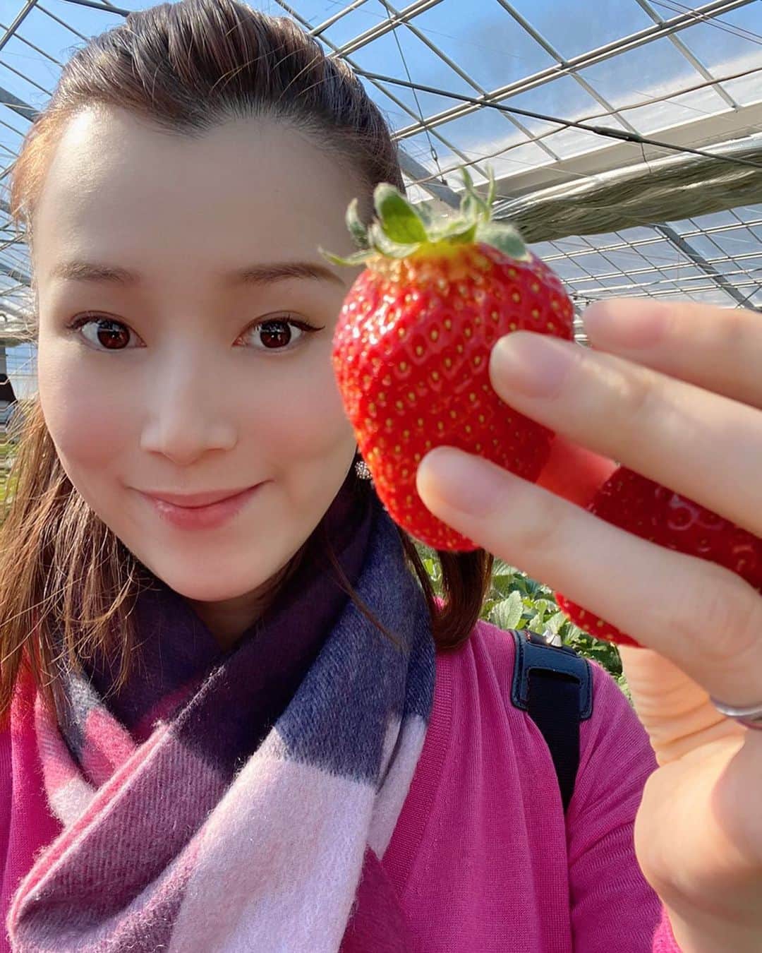 彩星りおんのインスタグラム：「ママ友ファミリーといちご狩り🍓😋﻿ 皆さんはどんな週末でしたか？﻿ 明日からまたお仕事の方は体調に気を付けて頑張りましょう！！﻿ ﻿ Strawberry picking :)﻿ ﻿ #weekend﻿ #しあわせな週末」