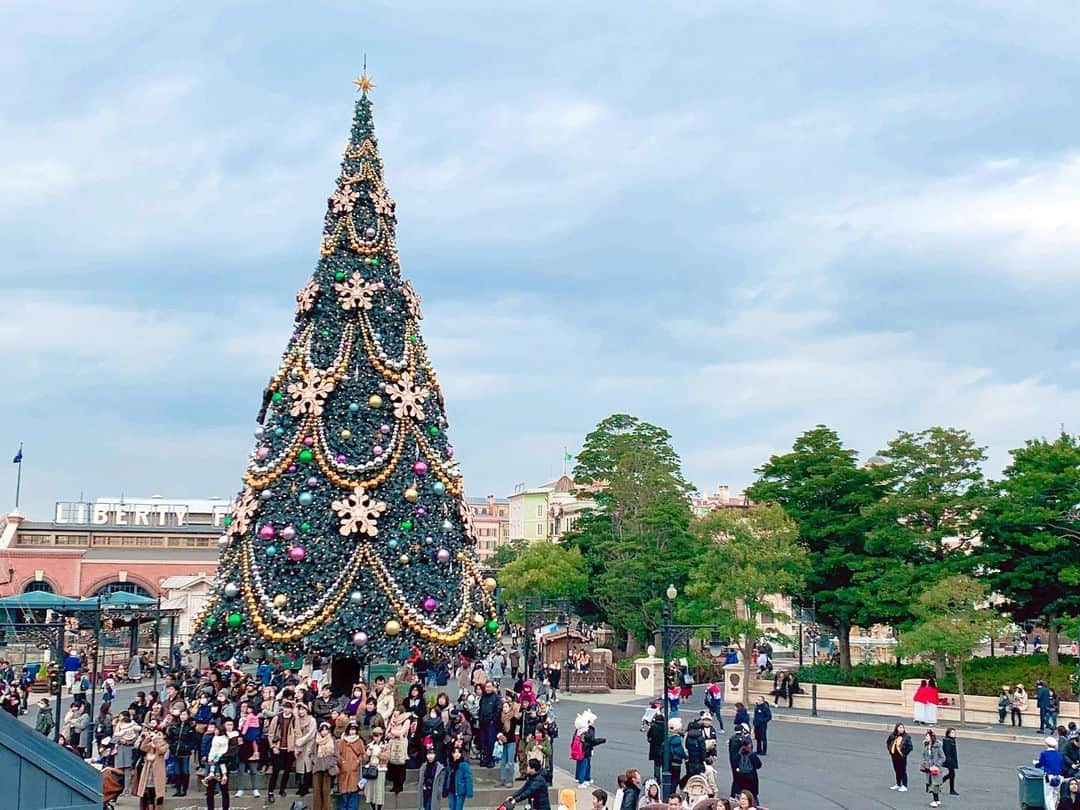 肥田佳菜子のインスタグラム：「ママとクリスマスディズニー🎄 #disneysea #disney #disneyresort #ディズニー #ディズニーランド #ディズニーシー #ディズニークリスマス #ミッキー #ハローニューヨーク #ファンタズミック」