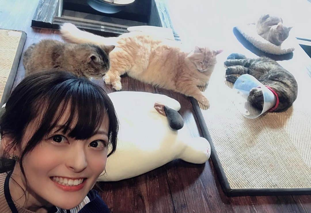 怜花さんのインスタグラム写真 - (怜花Instagram)「猫カフェ🐈 きゃりこ新宿店に行ってきました🐾♡ ・ すっごく可愛くて癒された〜✨ みんなのびのび生活されてました♡ ・ #猫カフェ　#きゃりこ　#きゃりこ新宿店」2月16日 22時46分 - reika_0419