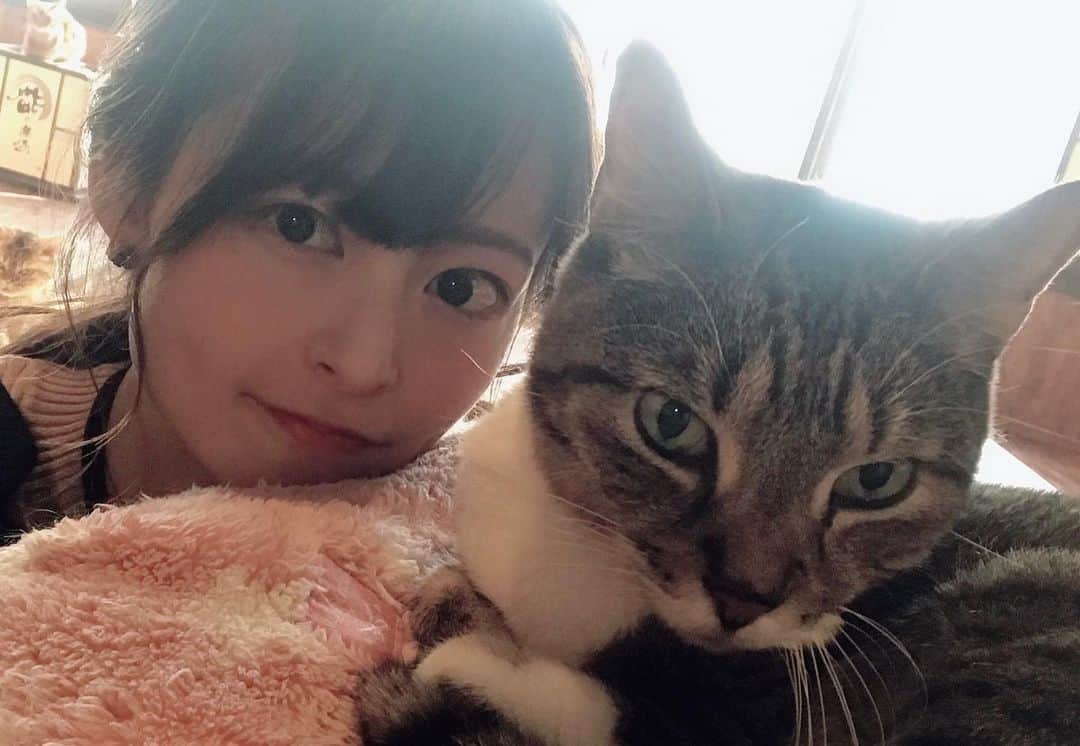 怜花のインスタグラム：「猫カフェ🐈 きゃりこ新宿店に行ってきました🐾♡ ・ すっごく可愛くて癒された〜✨ みんなのびのび生活されてました♡ ・ #猫カフェ　#きゃりこ　#きゃりこ新宿店」