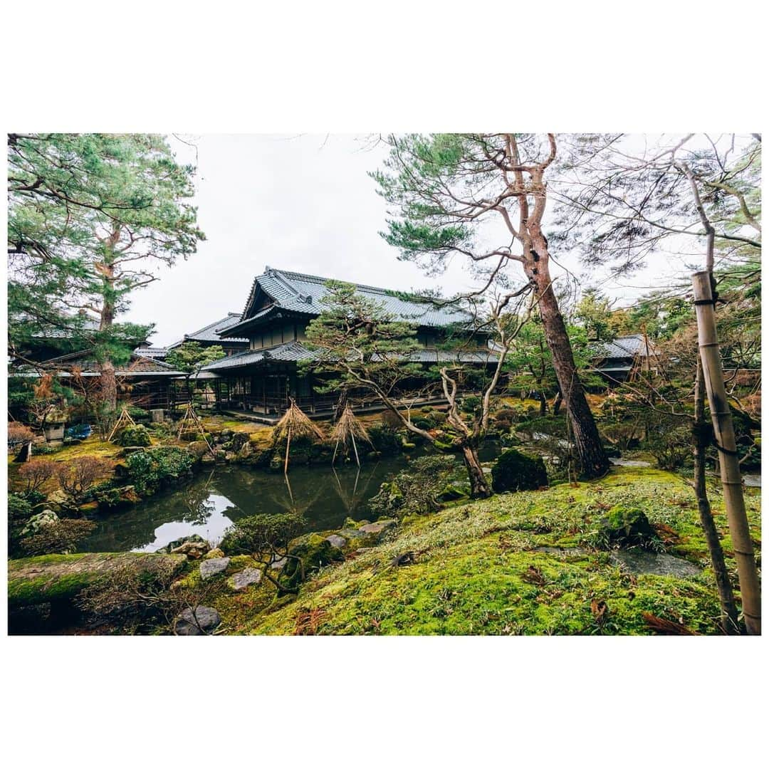 VuTheara Khamさんのインスタグラム写真 - (VuTheara KhamInstagram)「I discovered last days Northern Culture Museum, an open-air museum in Kōnan-ku, #Niigata, Japan. It's a beautiful place. I felt serenity and zen. I could stay there for hours contemplate the silence. . #UnknownJapan #visitjapanjp @visitjapanjp」2月16日 23時40分 - vutheara