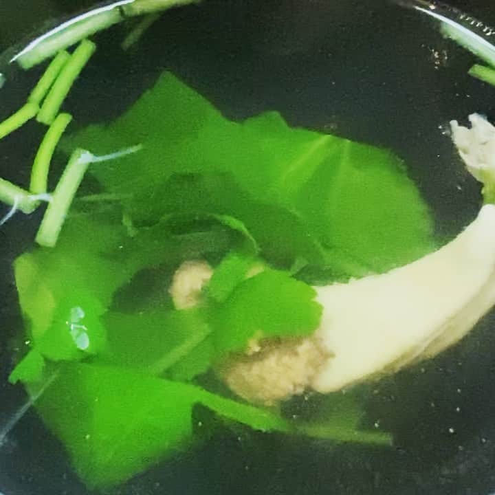 マサイのインスタグラム