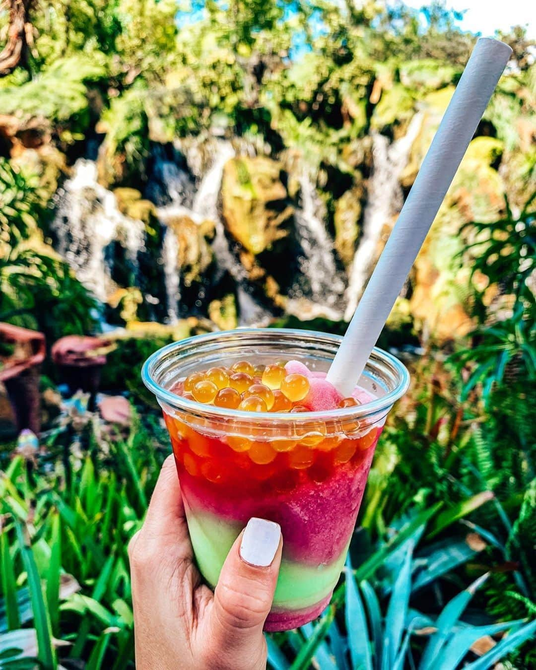 Walt Disney Worldさんのインスタグラム写真 - (Walt Disney WorldInstagram)「Sippin' through the weekend Pandora-style! 😋🍹🌱 #DisneysAnimalKingdom #PandoraWorldofAvatar #WaltDisneyWorld (📷: @lostdisneyfiles)」2月17日 0時00分 - waltdisneyworld