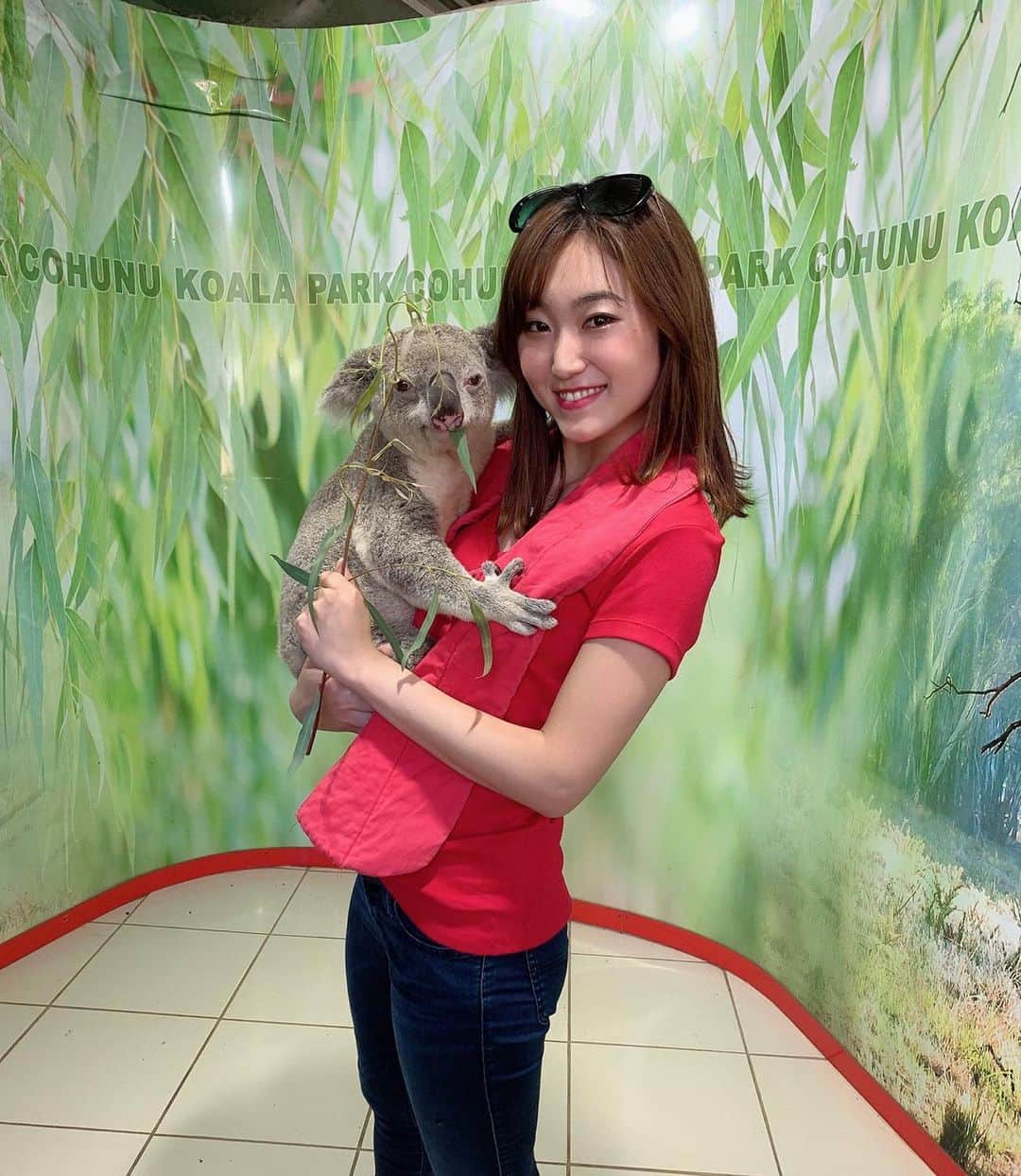 のインスタグラム：「コアラちゃん🐨 ・ オーストラリアの森林火災による被害から、痛々しいコアラの映像をよく目していたので、少し心苦しい気持ちになりました。 ・ そんなコアラを誰でも身近に支援出来る方法は、コアラのマーチを買うこと！ ロッテのコアラのマーチは「オーストラリア・コアラ基金」のロゴマークが掲載されています。 ・ 私も今回募金して帰りたいと思います。 抱っこしてみたらわかるこの可愛さ🥺守ってあげたい🥺 ・ #koala#コアラ#コアラ募金#australiakoalafoundation」