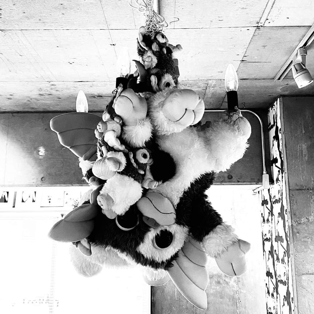 片山正通さんのインスタグラム写真 - (片山正通Instagram)「歯医者さんに来ています。待合室にグレムリンに出てくるギズモのヌイグルミ／シャンデリア！！！キム ソンヘというアーティストの作品らしいです。西川さんらしい趣味。 @ にしかわデンタルクリニック／桜新町 I am at the dentist's. There is a chandelier made of Gizmo from the movie Gremlins!!! This is an art piece by Kim Songhe. It is a choice that seems to be very Nishikawa-san. @ Nishikawa Dental Clinic / Sakura-Shinmachi」2月17日 14時14分 - masamichi_katayama