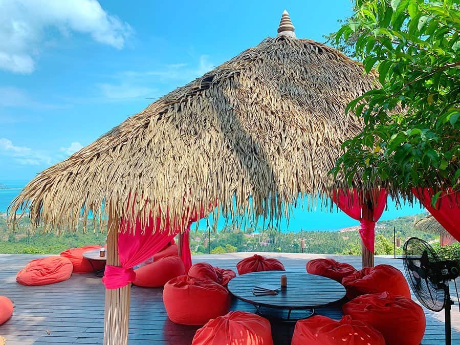 のインスタグラム：「サムイ島で超人気の絶景カフェ『The Jungle Club Restaurant』にて、微風を感じながらのまったりランチタイム🍽💕 ﻿ ﻿ 事前に予約していたので今回は屋根のある特別席に御案内していただけました🥰﻿ ﻿ 見た目もお洒落なお料理達が目の前に沢山並べられてみんなで仲良くシェア🎶﻿ ﻿ お天気にも恵まれ目の前に広がる景色がとにかく素晴らしく、訪れる価値のあるとっても素敵なレストランバーで御座いました✨✨✨﻿ ﻿ #thailand ﻿ #タイ﻿ #samui ﻿ #サムイ﻿ #samuiisland ﻿ #サムイ島﻿ #thejungleclub ﻿ #ジャングルクラブ﻿ #lunch﻿ #lunchtime ﻿ #ランチタイム﻿ #絶景﻿ #絶景カフェ﻿ #レストランバー﻿ #常夏﻿ #リゾート﻿ #眺望﻿ #心地良い﻿ #trip﻿ #tripgram ﻿ #travel ﻿ #travelgram﻿」