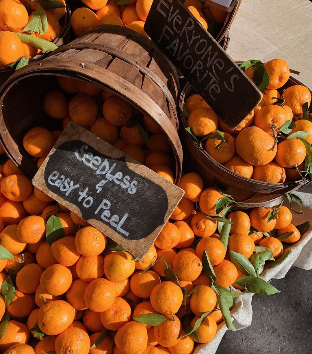 ダニエル・パナベイカーのインスタグラム：「farmers market finds 🍊」