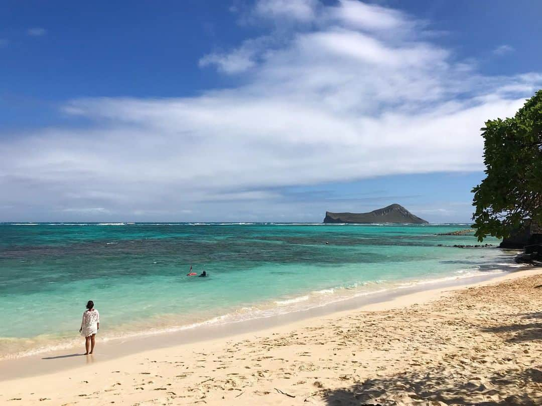 KAUKAU/カウカウハワイさんのインスタグラム写真 - (KAUKAU/カウカウハワイInstagram)「アメリカは3連休！ 最高なお天気です🌞 ◆ウェブでは、毎日ハワイのホットな情報を更新中！プロフィールのリンクから！！◆ #hawaii #KAUKAU #Waikiki #HawaiiNews #sunset #coupon #HawaiiCoupon #restaurant #shopping #instahawaii #ハワイ #ワイキキクーポン #ハワイクーポン #カウカウ #カウカウクーポン #ハワイごはん #ハワイご飯」2月17日 6時50分 - kaukau_hawaii