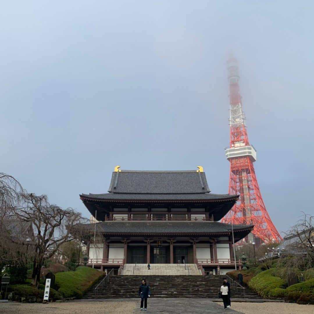 くろさんのインスタグラム写真 - (くろInstagram)「たわ！ #🗼 #tokyotower #東京タワー #芝公園 #増上寺 #shibapark #zojoji #tokyo_instagram #MYTOKYOIS #TokyoTokyo」2月17日 8時09分 - m6bmw