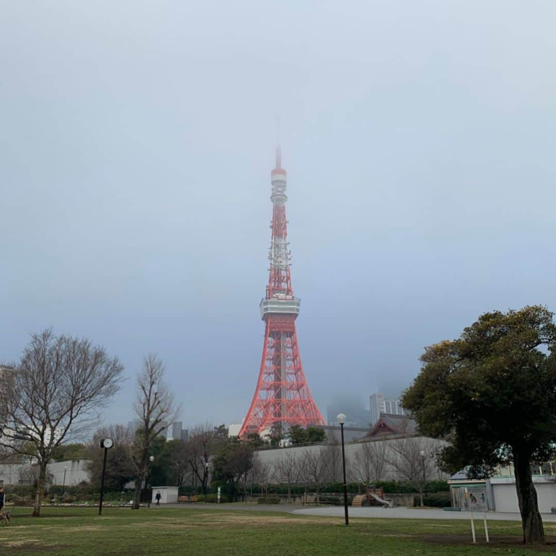 くろさんのインスタグラム写真 - (くろInstagram)「たわ！ #🗼 #tokyotower #東京タワー #芝公園 #増上寺 #shibapark #zojoji #tokyo_instagram #MYTOKYOIS #TokyoTokyo」2月17日 8時09分 - m6bmw