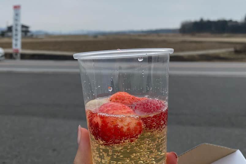 井元麻帆さんのインスタグラム写真 - (井元麻帆Instagram)「イチゴ狩り🍓🍓 と、言いたい所ですが茨城までローカル電車でのんびり向かってみたら、すでに狩り時間終わっておりました。  少し悔しかったので、農園の甘いイチゴを大量購入して(それでも1500円もしなかった！)シャンパンを買って苺を浮かべて1時間に一本ペースでしか来ない電車の待ち時間を楽しみました。  #途中から凄い趣きのホームばかりで #景色がガラっと変わって楽しさしかなかった #廃墟となった映画館を見つけたり #した 追記:一緒に行ったかれんちゃんは大遅刻かましてきた☺️☺️☺️」2月17日 8時35分 - maho_imoto
