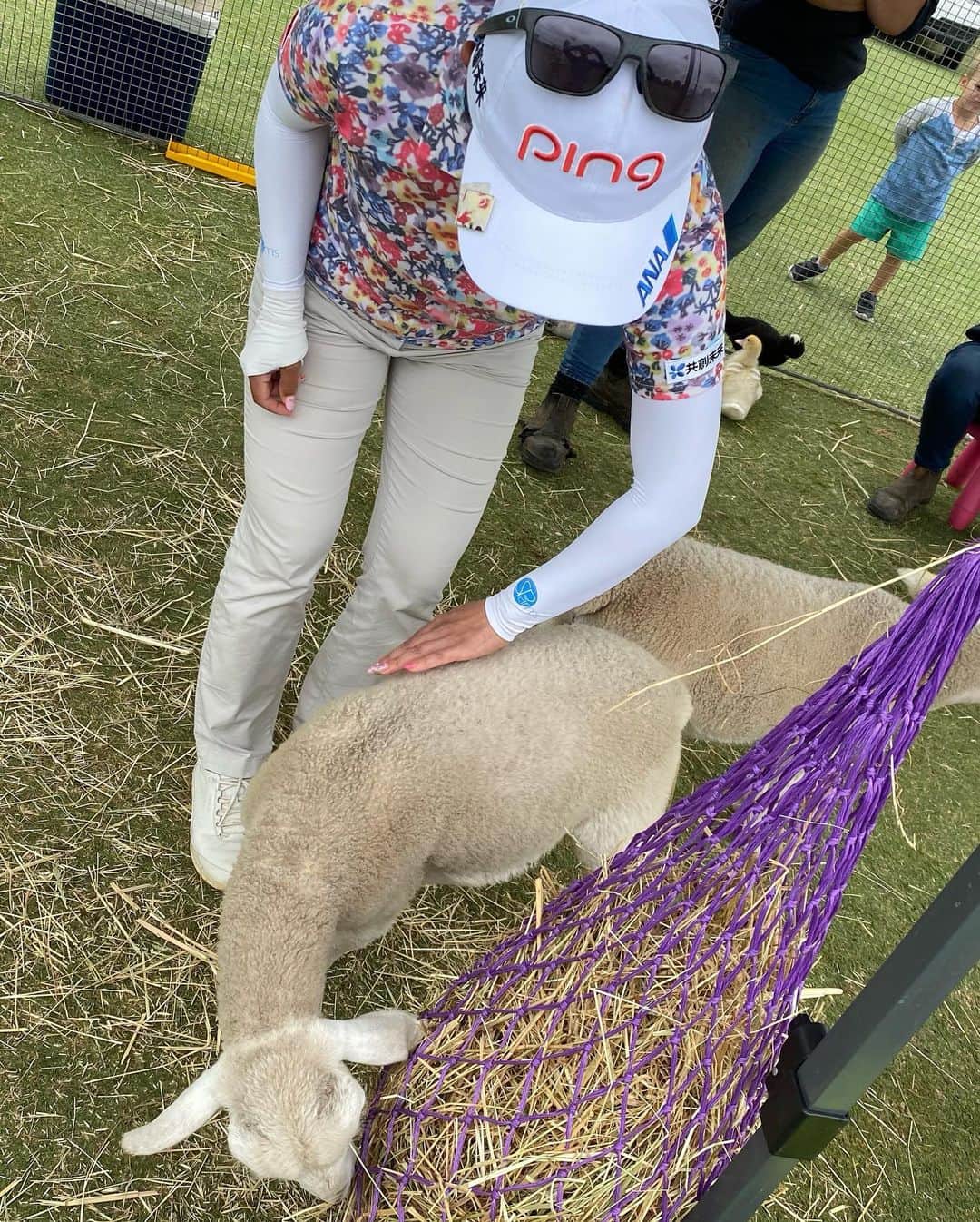 上原彩子さんのインスタグラム写真 - (上原彩子Instagram)「ロイヤルアデレードゴルフクラブの癒しの動物園🐐🐑🐂羊の毛はモコモコでしたー #動物園 #アデレード #かわいい #癒し #オーストラリア #サウスオーストラリア」2月17日 14時26分 - ayako_uehara.golf