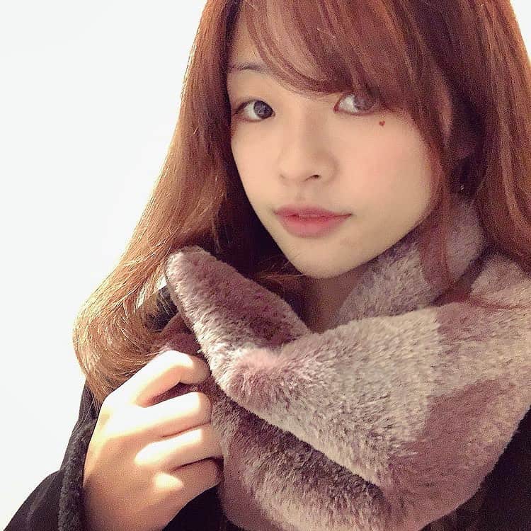 知念紗耶のインスタグラム：「寒すぎて今更マフラー購入🧣💦 今日も一日頑張ります✨」