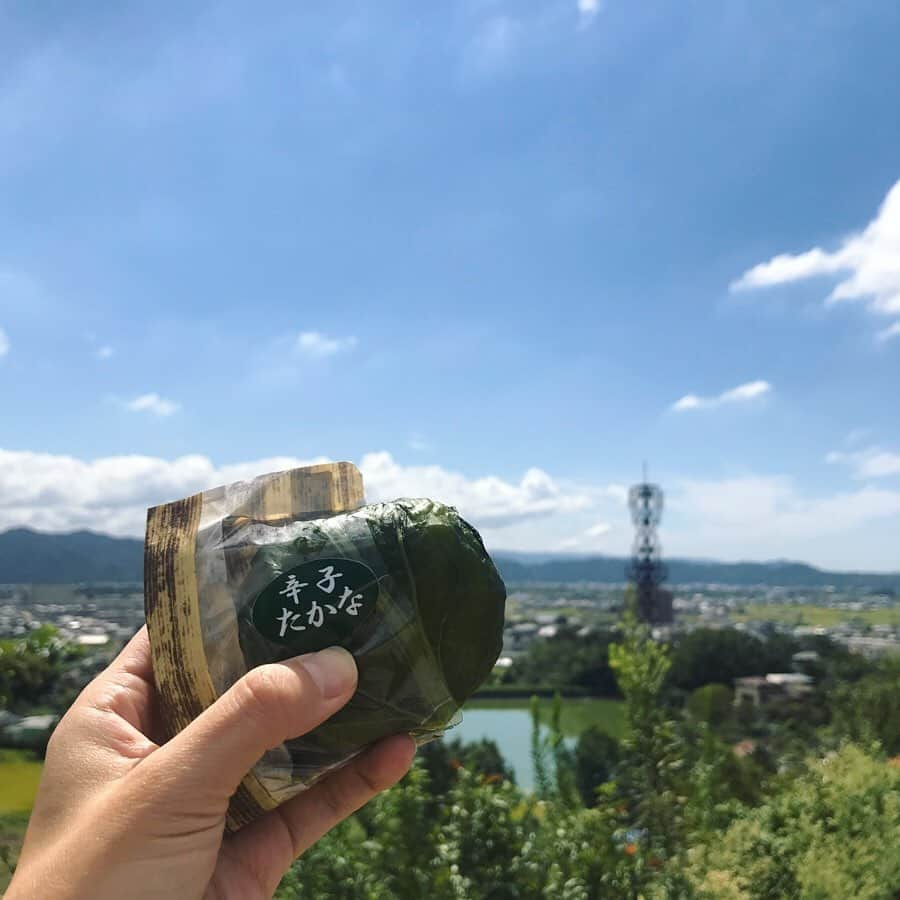 塚田文のインスタグラム：「~2019和歌山フルーツ狩り~  パーキングエリアで和歌山の郷土料理である“めはり寿司”を購入。  高菜の浅漬けでおにぎりを包んだもの。これが、おにぎりととても合う！  めはり寿司越しの奥には奈良から和歌山を流れる“紀ノ川”  目的地は有田川町の有田巨峰村での“シャインマスカット狩り”  贈り物に自ら取った物をと思って出かけたものの、その作業の大変さといったら…😱炎天下の中で腰をかがめての選定作業は時間もかかり汗だくで疲労困憊😅💦 一生懸命選んでとっただけあって、お店で買った物よりしっかり熟していて美味しかった❗️と言って貰えて、苦労の甲斐がありました✨  知ってました？熟したシャインマスカットは黄色いって。”黄色くなった物を選んでね。”と農園の方からアドバイスを頂きました。  帰りには綺麗な夕陽が。阪神高速4号湾岸線は眺めが良い✨  #和歌山県 #有田郡有田川町 #有田巨峰村 #目的は #シャインマスカット #梨も取ったよ#巨峰もね #農業の大変さを思い知る #2019年#今年も行きたい #阪神高速4号湾岸線 #和歌山頑張れ #日本がんばろう #covid19  #japantrip #japantravel #wakayama #wakayamaaridagawa #aridagawa #aridagawacho #fruitpicking #shinemuscat #japanesepear」