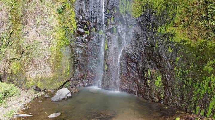 ステファノ・カルーゾのインスタグラム：「Isla de Ometepe / Nicaragua 🇳🇮 #vacation2020 #nicaragua #wanderlust #waterfalls #laislabonita #isladeometepe #ciaobelli 🎥 @lasse_894」