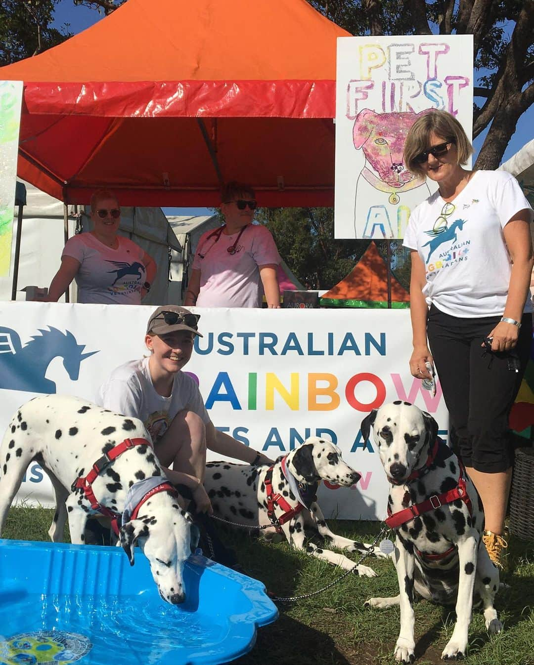 ケイティ・パスフィールドさんのインスタグラム写真 - (ケイティ・パスフィールドInstagram)「A whole day of doggos and then saw Queen - how could life be better 🐾 @firefightaustralia」2月17日 10時52分 - katiepasfield