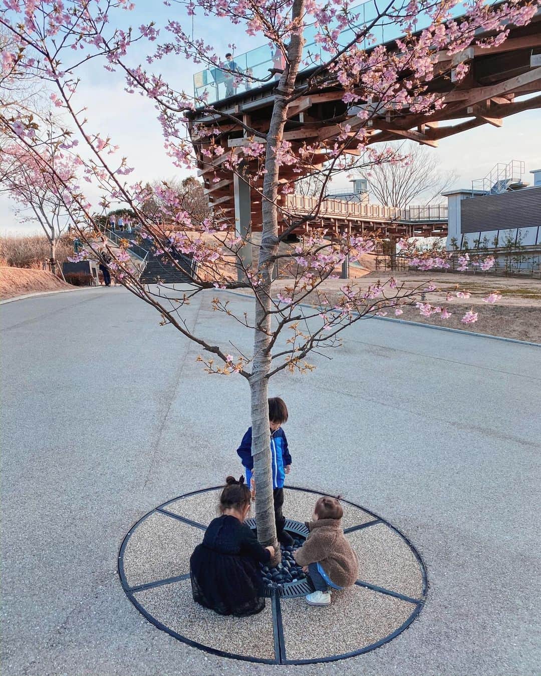 のインスタグラム：「週末は家族でのんびり。 日本平に行って絶景を満喫したり、 FURAIPANというアットホームなお店で絶品すぎる白身魚を食べたり。 とろけるほど美味しかった🤤 ここはまた行きたい。  子供同士ってやっぱり、楽しいんだね☺️見てるこっちも楽しい。 もっと体力つけたいな。笑  #日本平#日本平夢テラス#河津桜 #静岡グルメ #FURAIPAN#家族 #いい土日でした」