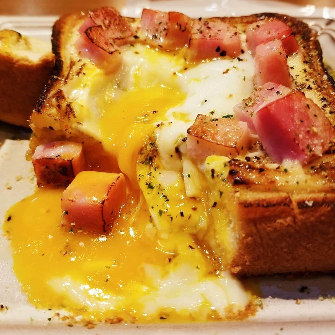 ミスター黒猫（黒猫仙人）のグルメインスタ