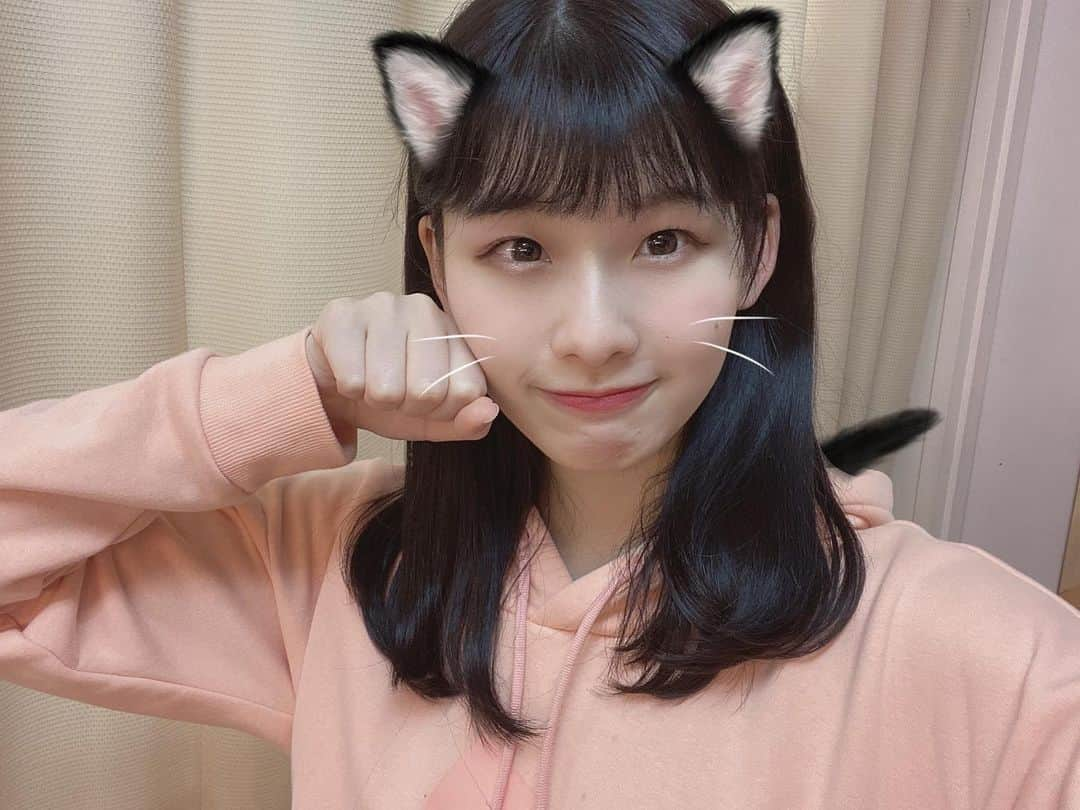 浅井七海さんのインスタグラム写真 - (浅井七海Instagram)「.﻿ 猫です 〜🐈﻿ ﻿ It's a cat ~🐈﻿」2月17日 22時02分 - naamin48_