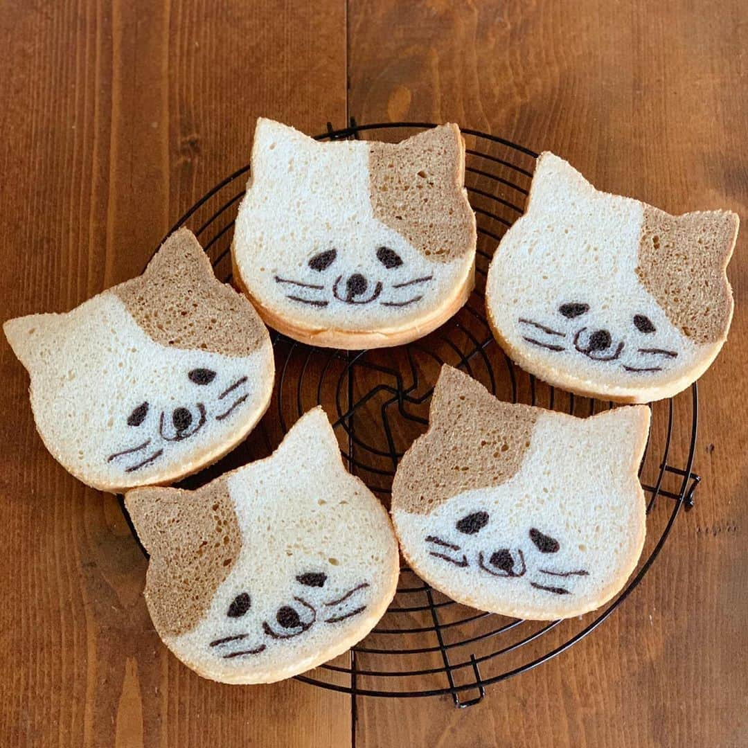 Ranさんのインスタグラム写真 - (RanInstagram)「. . . #イラストパン . . にゃんこの集合写真🐱💕 . . . . . #bread #baker #cat #catstagram #catlover #breakfast #lunch #sweet #kawaii #kawaiifood #foodstagram #artfood #手作りパン #食パン #手作り食パン #ねこパン #にゃんこ #猫 #猫好きさんと繋がりたい #猫のいる暮らし #猫カフェ #猫との暮らし #コッタ #cotta #無添加パン #パン屋 #ネコ型 #パン教室 #konel」2月17日 22時21分 - konel_bread