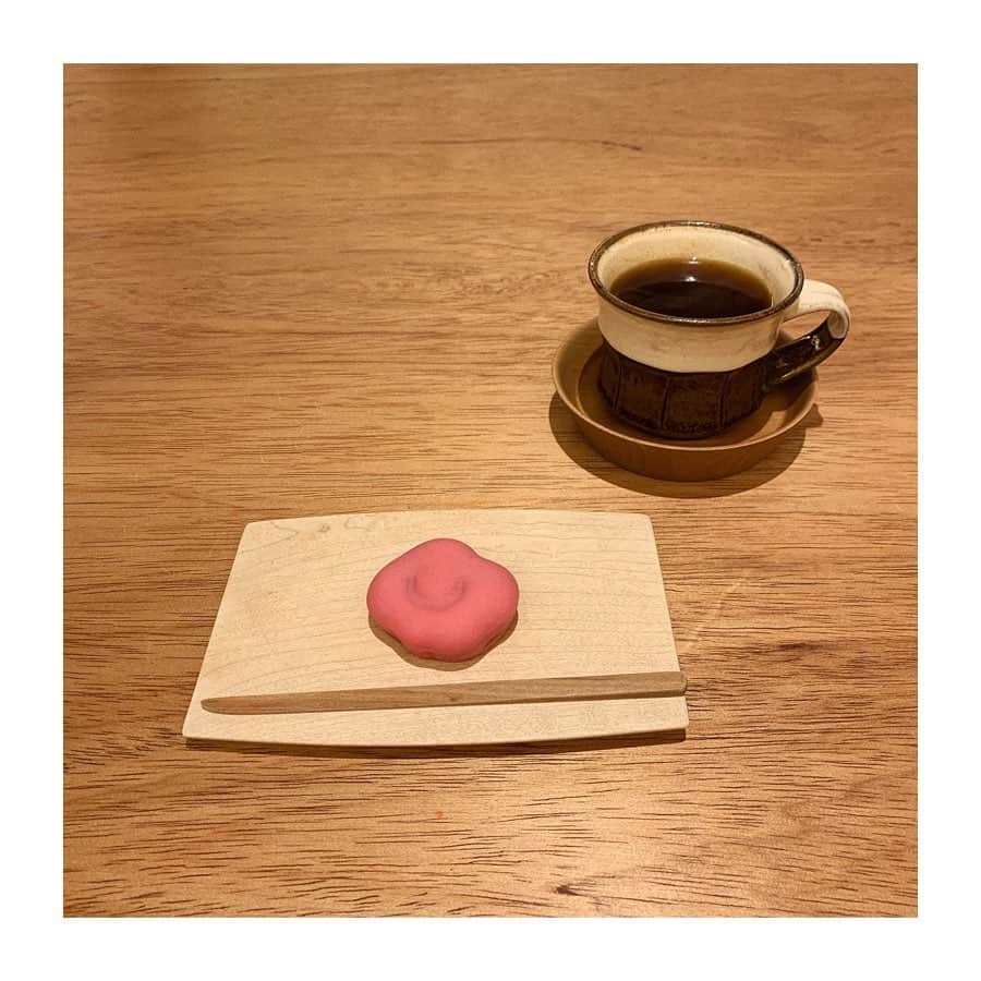 小山莉奈さんのインスタグラム写真 - (小山莉奈Instagram)「嘯月の和菓子と看板犬のドンちゃん。🐶」2月17日 14時36分 - koyama_rina