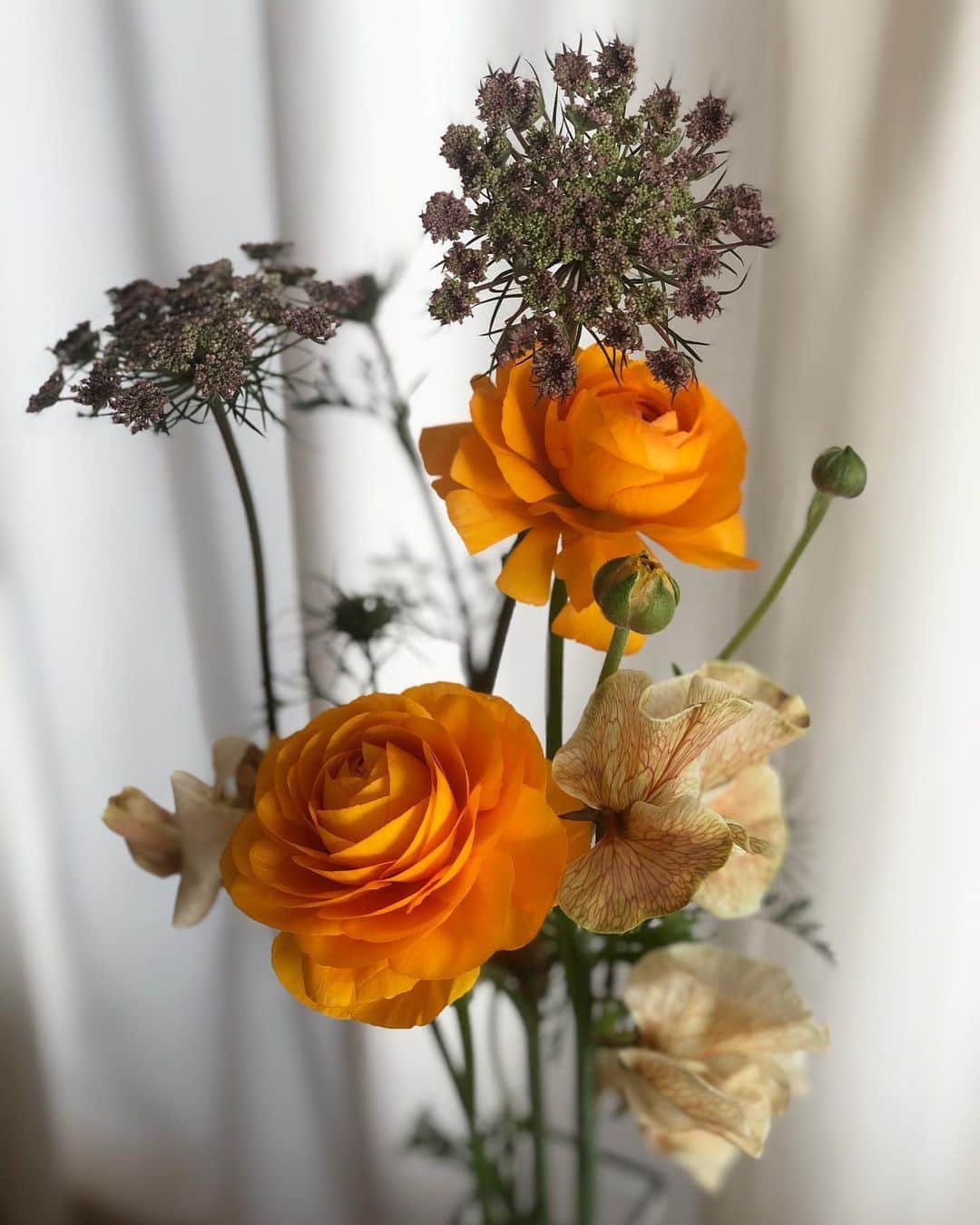 のインスタグラム：「今週のお花^ - ^ ポピーと、面白いスイートピーに、名前は忘れましたが、これまた面白い草花を一緒に合わせてみました。 ・ #お花 #お花シリーズ #お花大好き #お花のある暮らし  #ポピー #スイートピー #flowers」