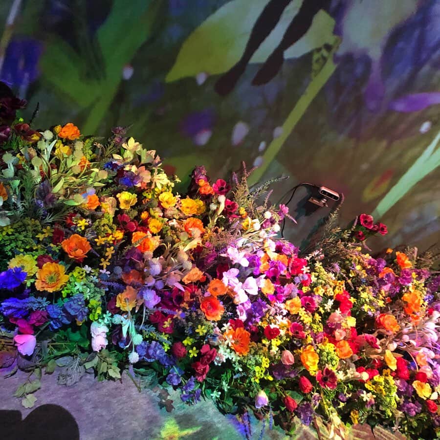 まさき沙耶さんのインスタグラム写真 - (まさき沙耶Instagram)「ビフテキ(@yakkodiningpr ) 食べる前に寄った、 flowers by NAKED🌸(@naked_inc ) #naked #flowersbynaked #coredo室町 #kiehls #日本一早いお花見 #おすすめ」2月17日 14時58分 - saya_masaki