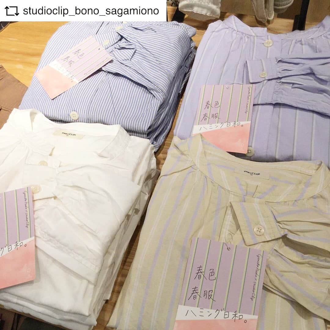 スタディオクリップさんのインスタグラム写真 - (スタディオクリップInstagram)「#REPOST @studioclip_bono_sagamiono with @get__repost__app  STRIPE &color  人気スタイリスト玄長なおこさんとのコラボアイテムが入荷しました！👏 ラインナップは、鮮やかなカラーニットと着回し力抜群のシャツチュニック。 そしてベーシックカラーのワイドパンツ！  店頭で鮮やかに展開しております🤗🌸 #873032 5GアゼパフスリーブPO ¥3990＋税  #873030 アソートロングシャツBL ¥3990＋税  #873031 CツイルタックワイドPT ¥4990＋税  #リンネルスタイリスト#リンネル#玄長なおこ#玄長コラボ#カラーニット#ストライプシャツ#春コーデ#春アイテム#スタディオクリップ#studioclip #repostios #repostw10」2月17日 15時00分 - studioclip