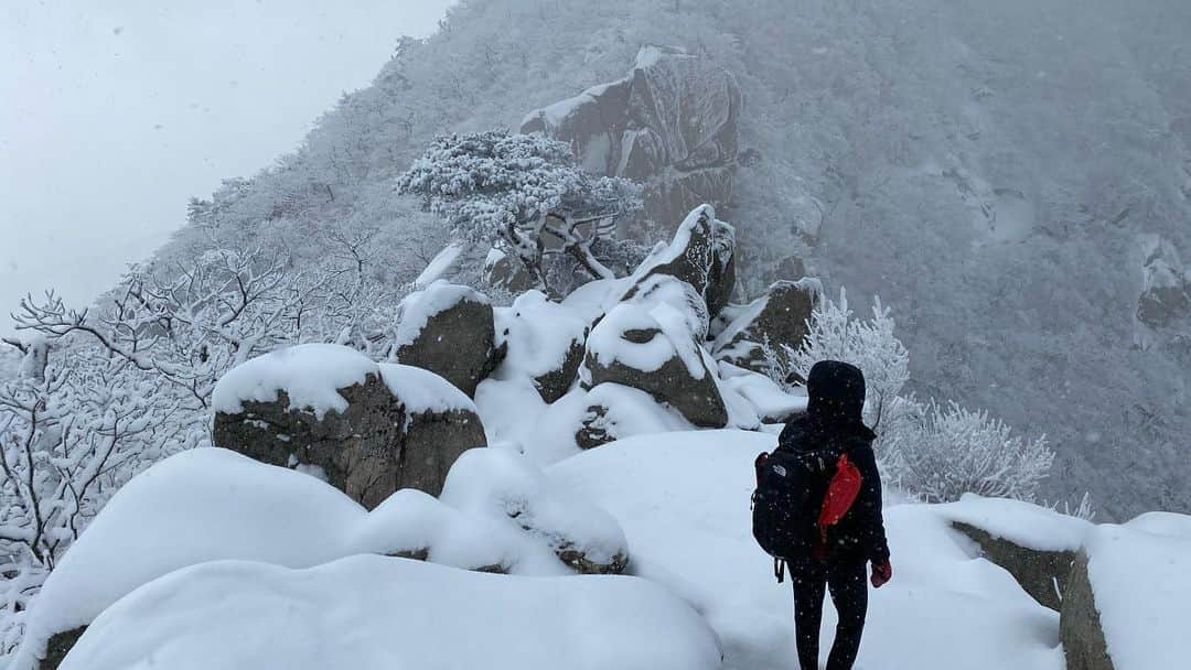 イム・セミさんのインスタグラム写真 - (イム・セミInstagram)「Let it go 🌬❄️」2月17日 15時10分 - susemee