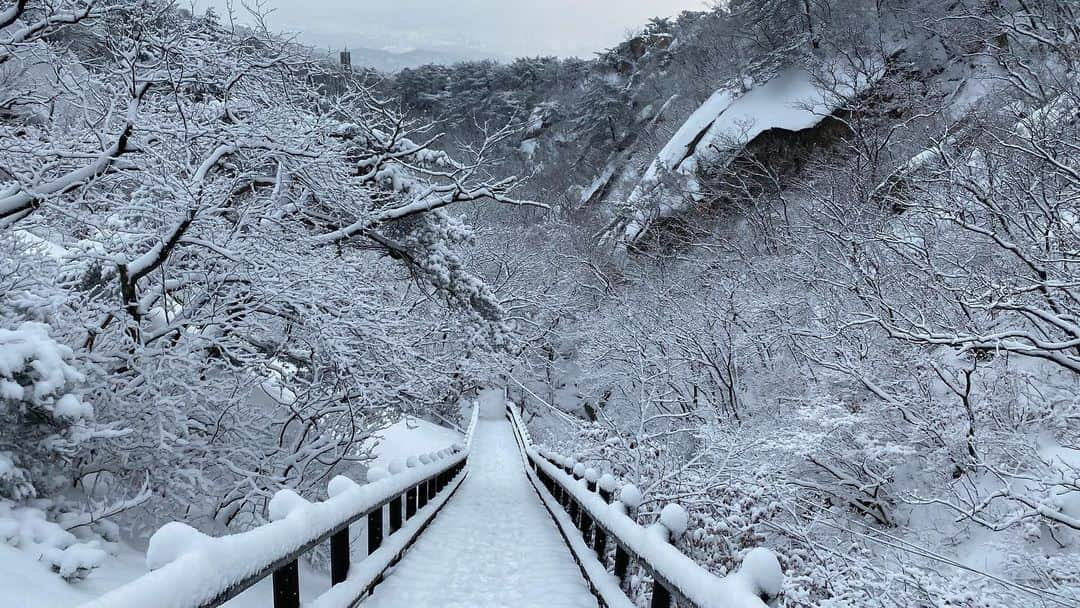 イム・セミさんのインスタグラム写真 - (イム・セミInstagram)「Let it go 🌬❄️」2月17日 15時10分 - susemee