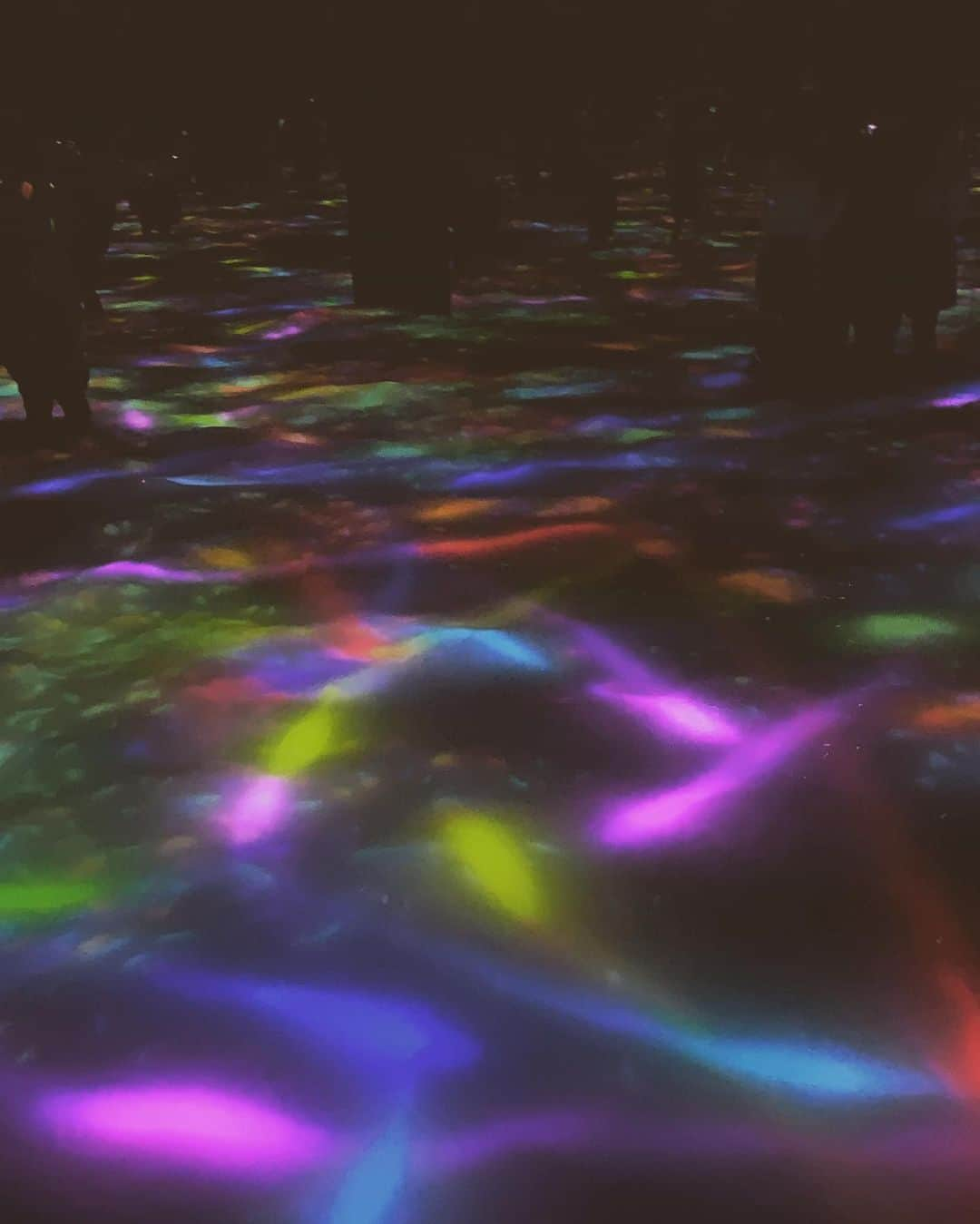 AARONさんのインスタグラム写真 - (AARONInstagram)「#school of #fish #teamlab 一池魚」2月17日 16時02分 - aayan1120