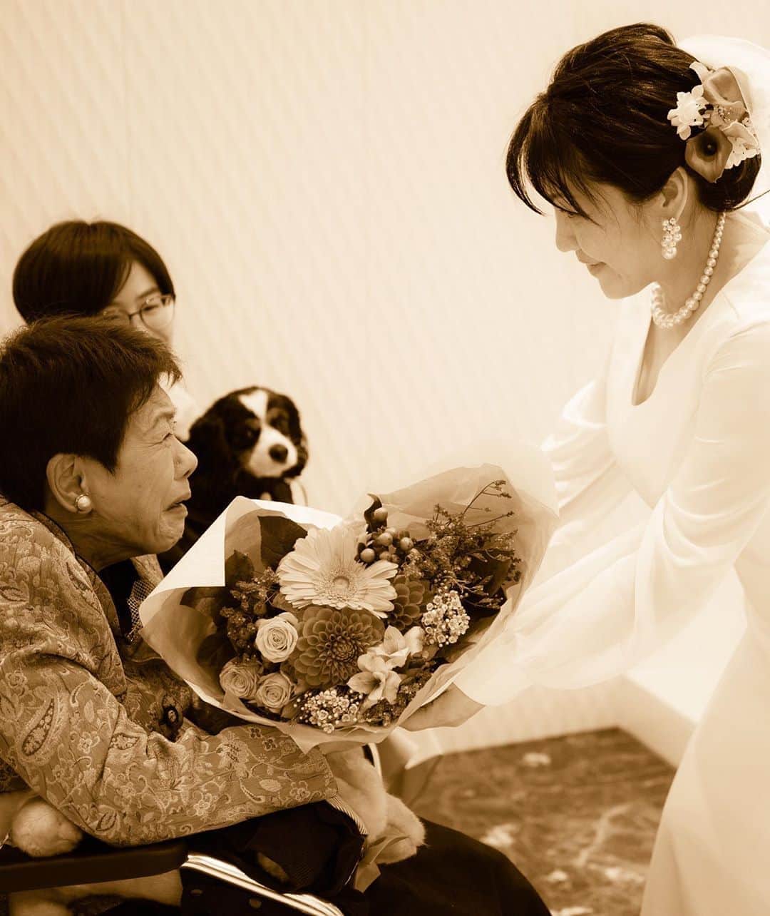 【公式】小さな結婚式のインスタグラム