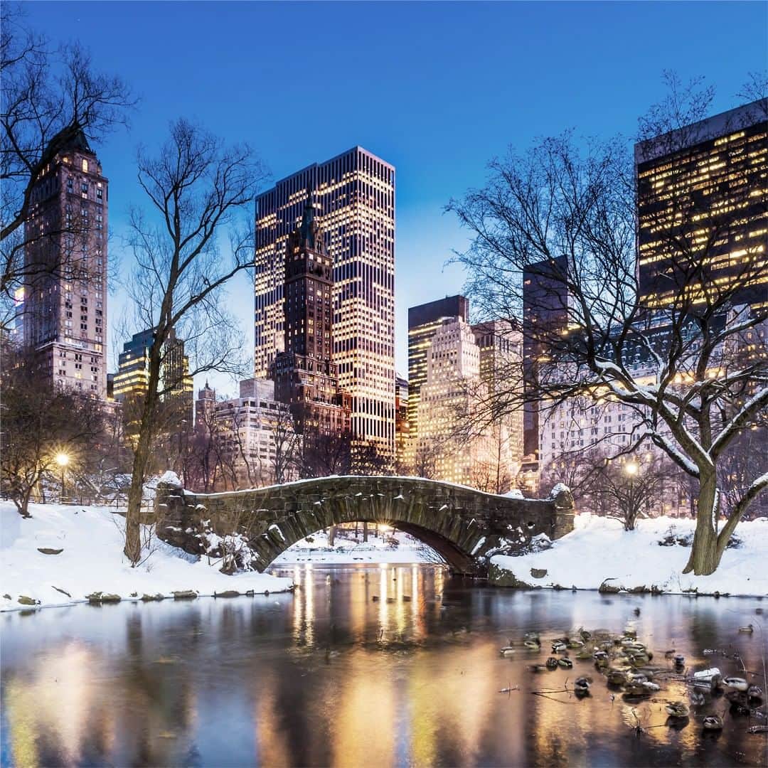 JALさんのインスタグラム写真 - (JALInstagram)「. Central Park - the long-loved oasis at the center of New York City. A sanctuary surrounded by the city's twinkling lights. #TogetherThisFebruary  ニューヨークのオアシスとして愛されるセントラルパーク🏙 雪景色の向こうに煌びやかな街が覗きます✨ . . Post your memories with #FlyJAL  #JapanAirlines #unitedstates #newyork #centralpark #natureincity」2月17日 17時29分 - japanairlines_jal